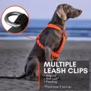 NonStop Dogwear Line Harness 5.0